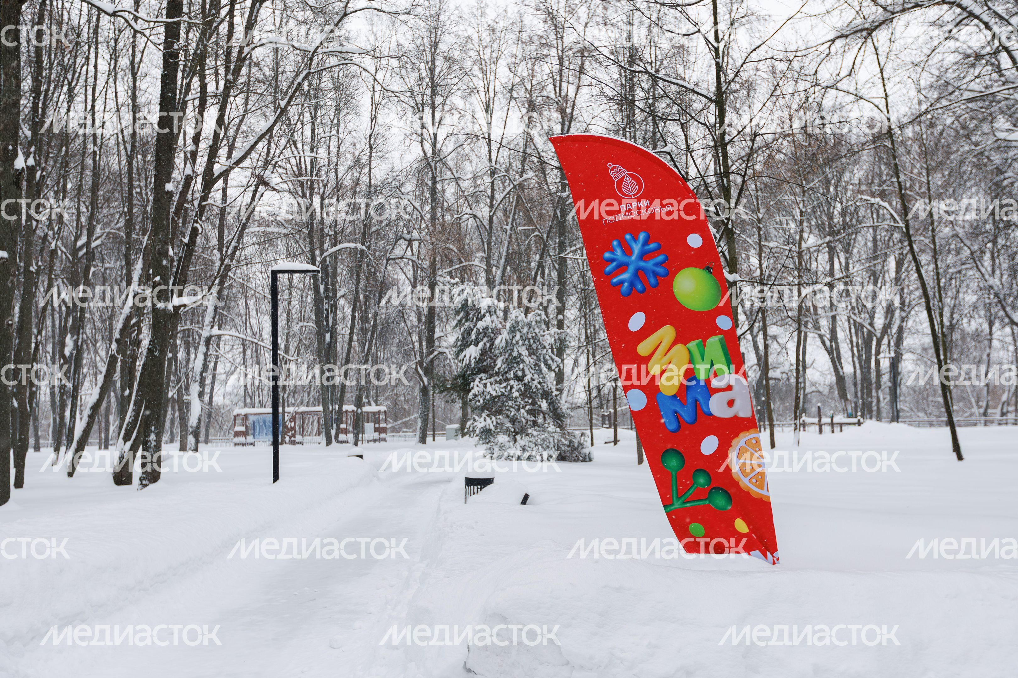 Зима в Лосино-Петровском парке Зима в Лосино-Петровском парке