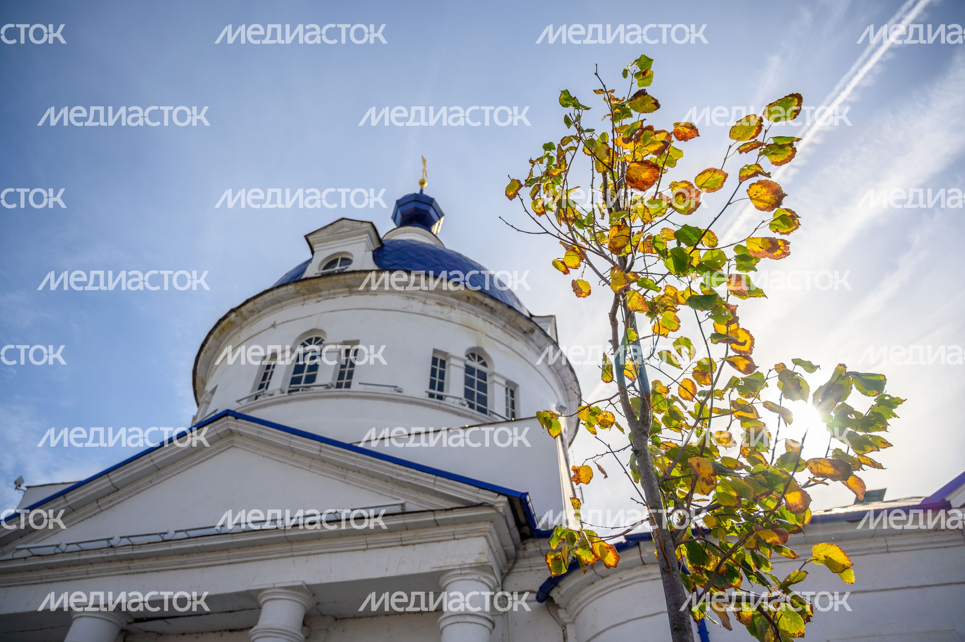 Храм Илии Пророка в Зарайске