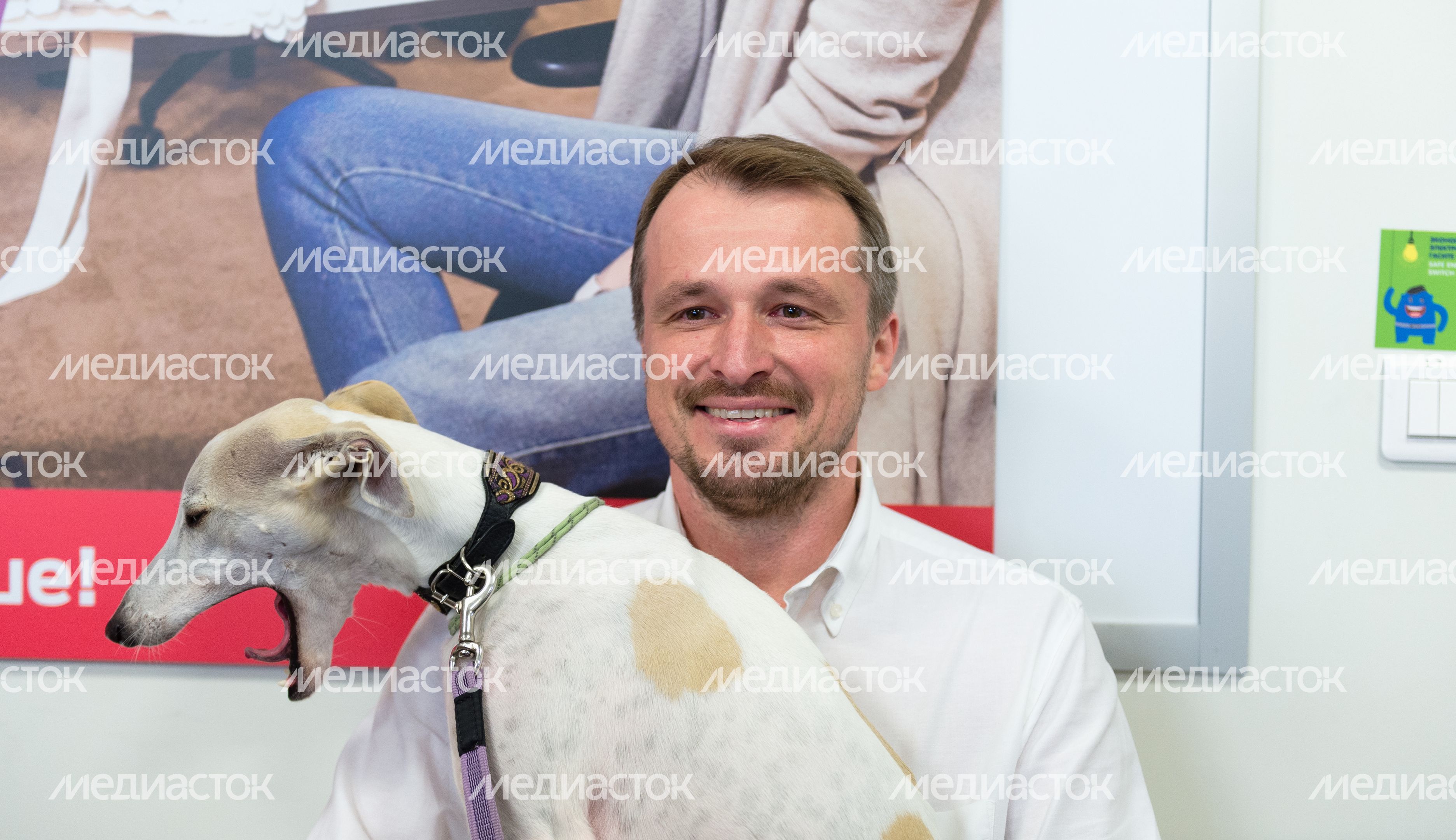 Pet‑friendly офис Purina