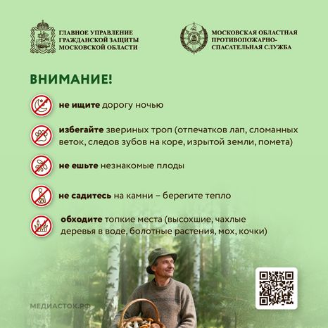 Как подготовиться к походу в лес квадрат 09