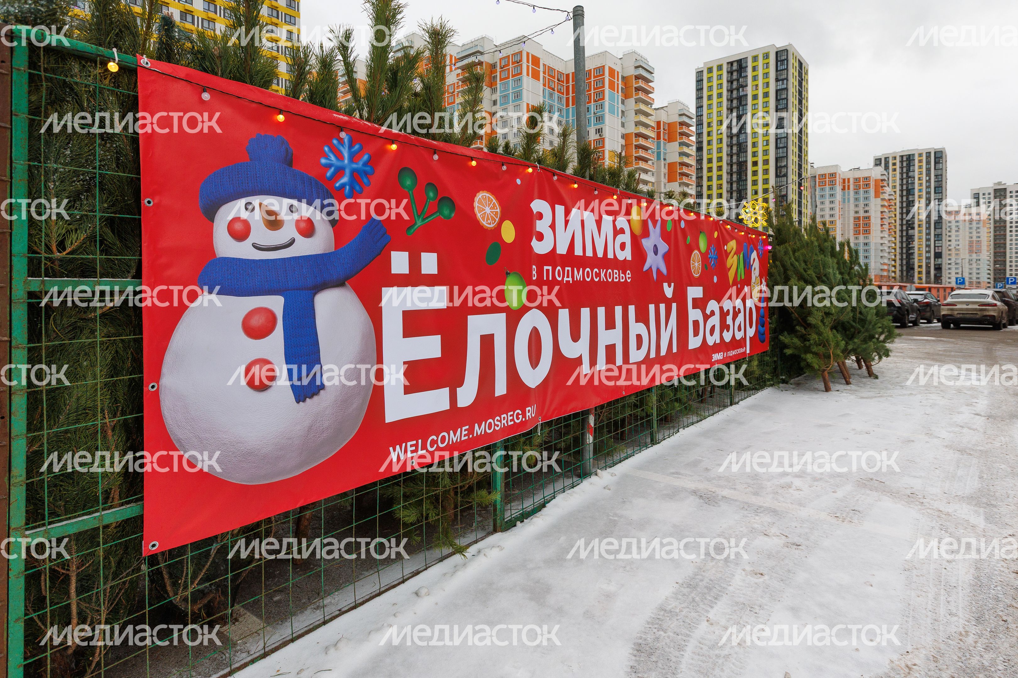 Елочный базар на улице Мира в Мытищах Елочный базар на улице Мира в Мытищах