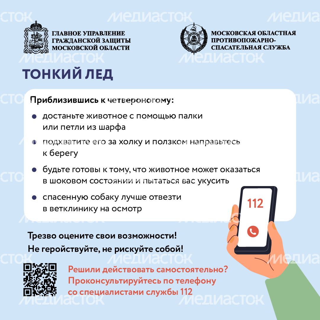 Помощь усатым - квадрат-06