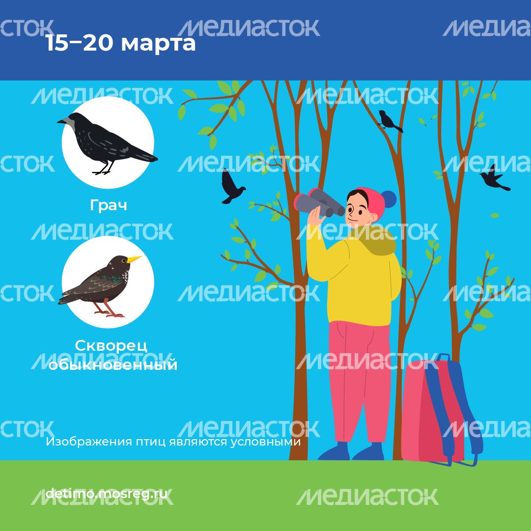 весна летит - квадрат - 03