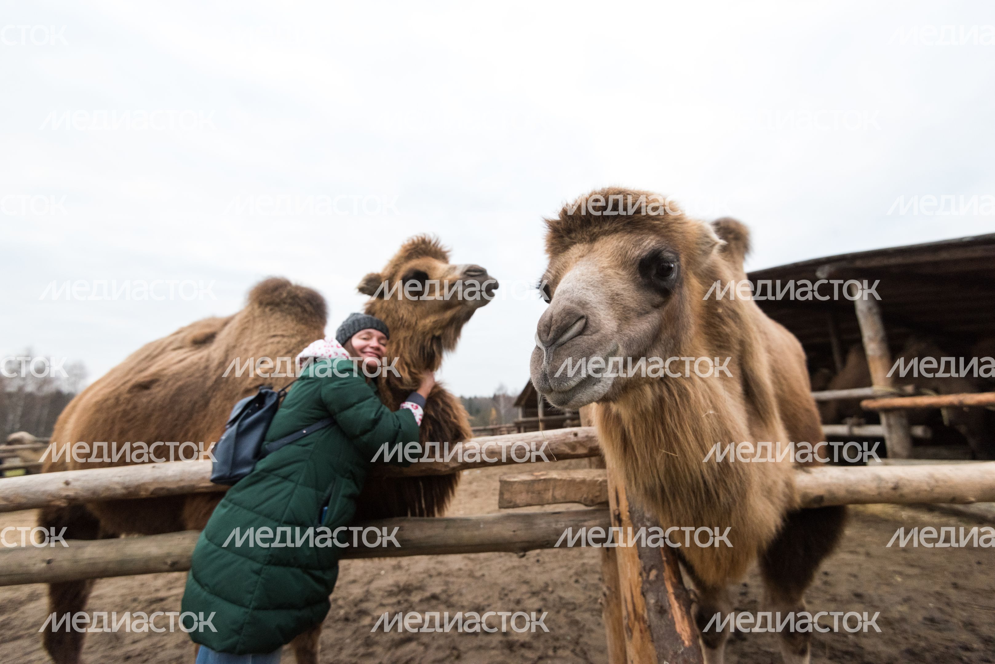 Этнопарк «Кочевник»