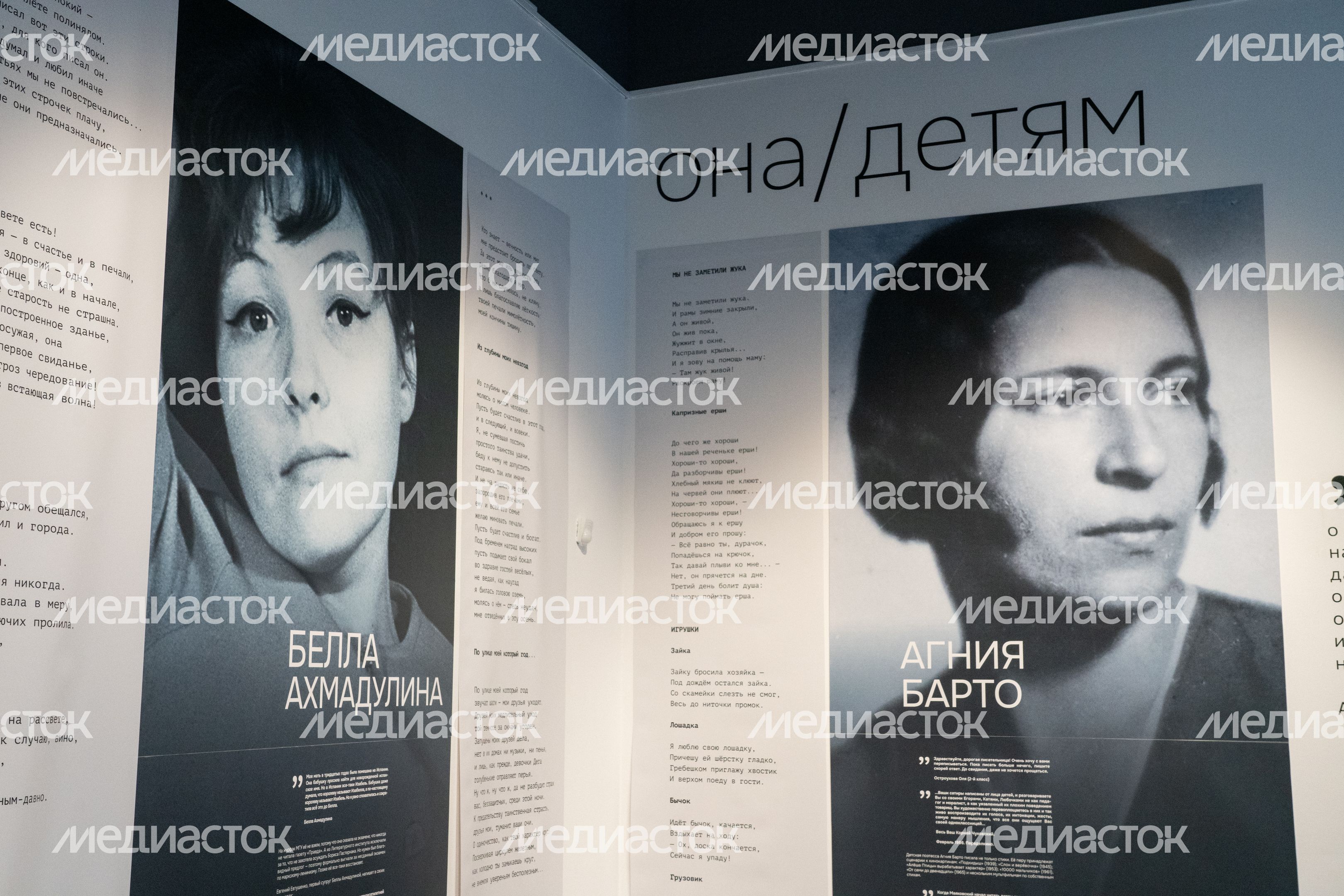 Выставка «Она и литература» в музейном комплексе «Зоя» в Рузском округе Выставка «Она и литература» в музейном комплексе «Зоя» в Рузском округе