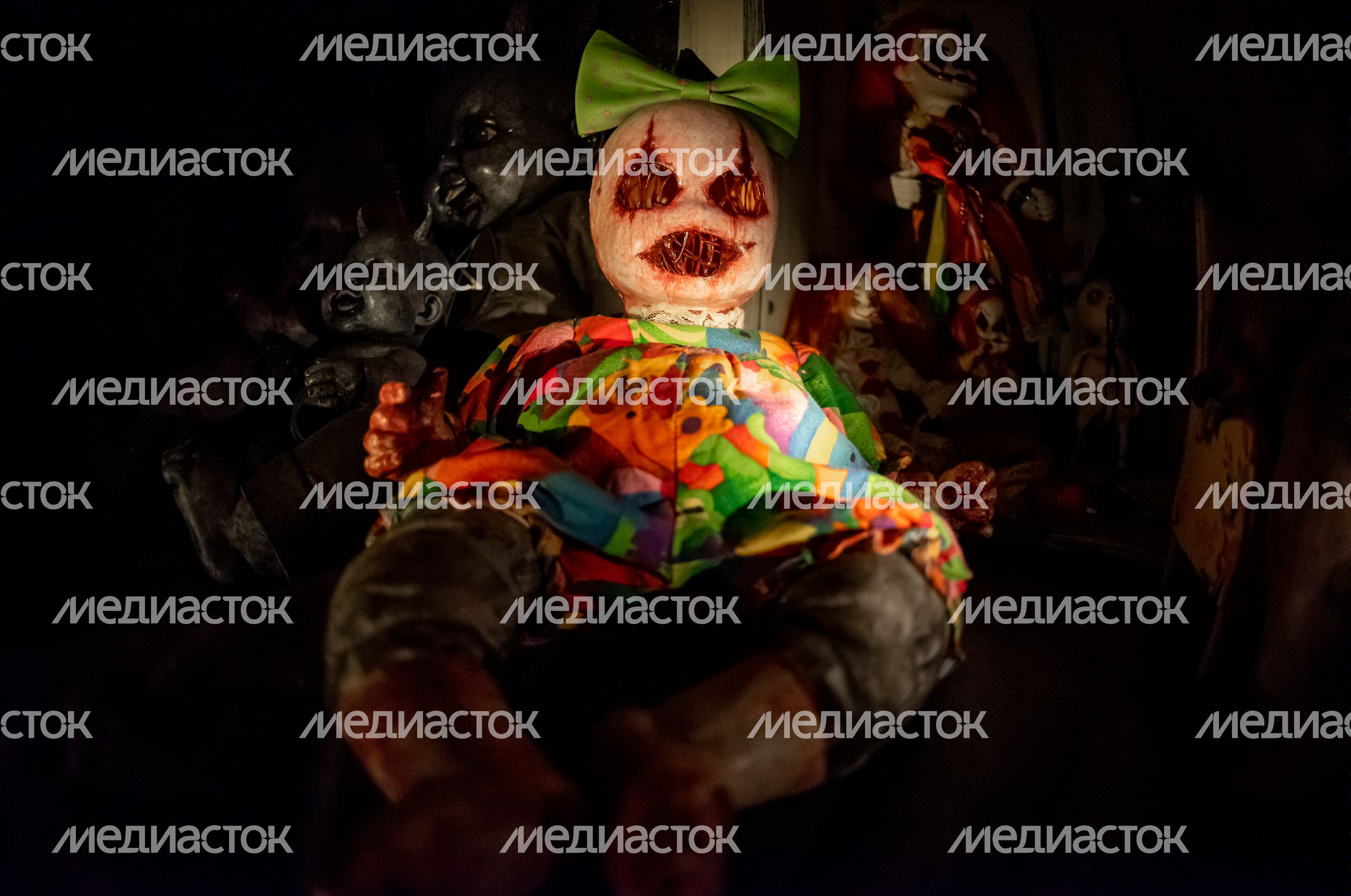 Виды музея Мёртвых Кукол