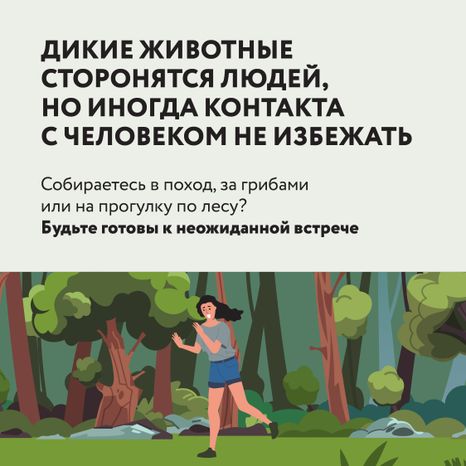 Квадрат Безопасность в лесу 02.jpg