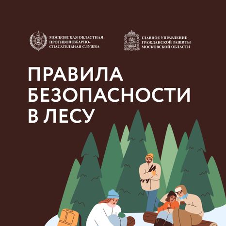Как не потеряться в лесу