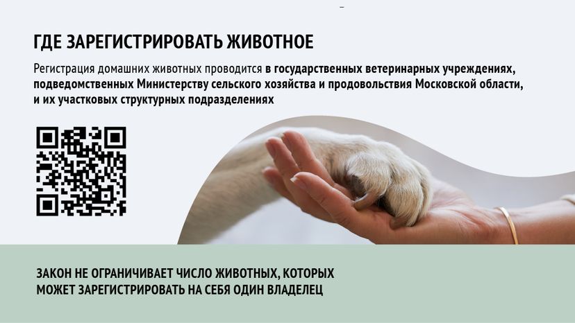 Зарегистрировать домашнее животное ред 2-горизонталь-04.png
