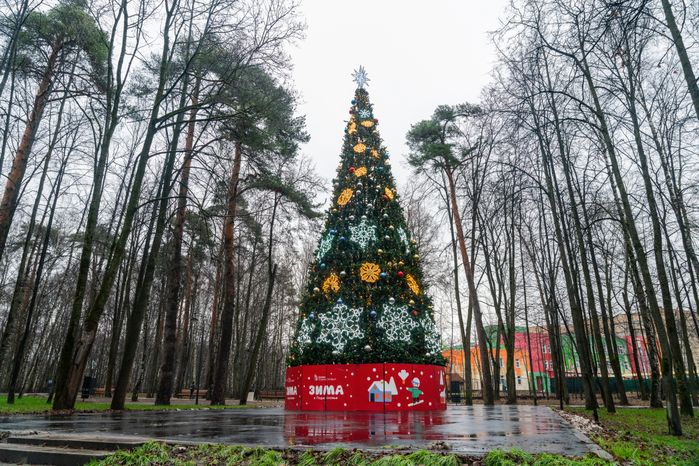 Новогодняя елка в Красногорском городском парке после реконструкции зимой