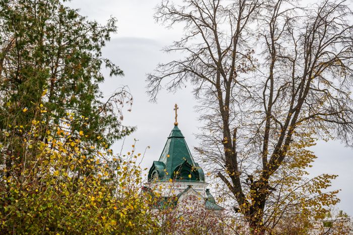 Церковь Троицы Живоначальной в Зарайске