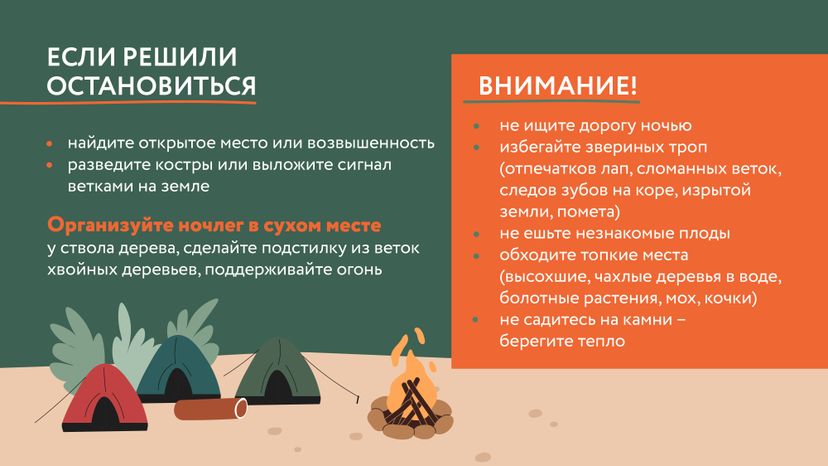 Как не потеряться в лесу