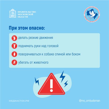 Осторожно злая собака квадрат 04