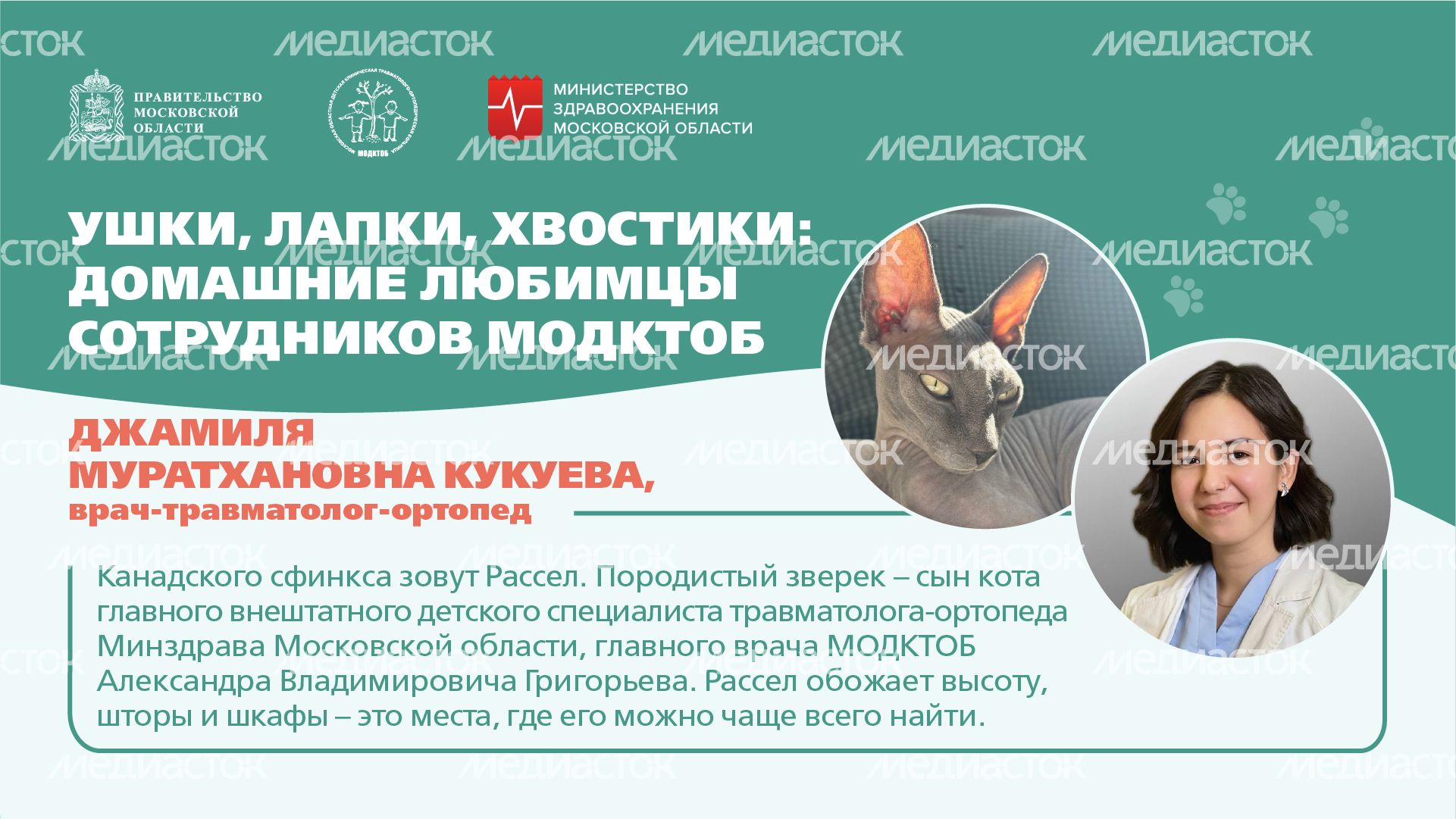 Ушки, лапки, хвостики горизонталь 02 Ушки, лапки, хвостики горизонталь 02