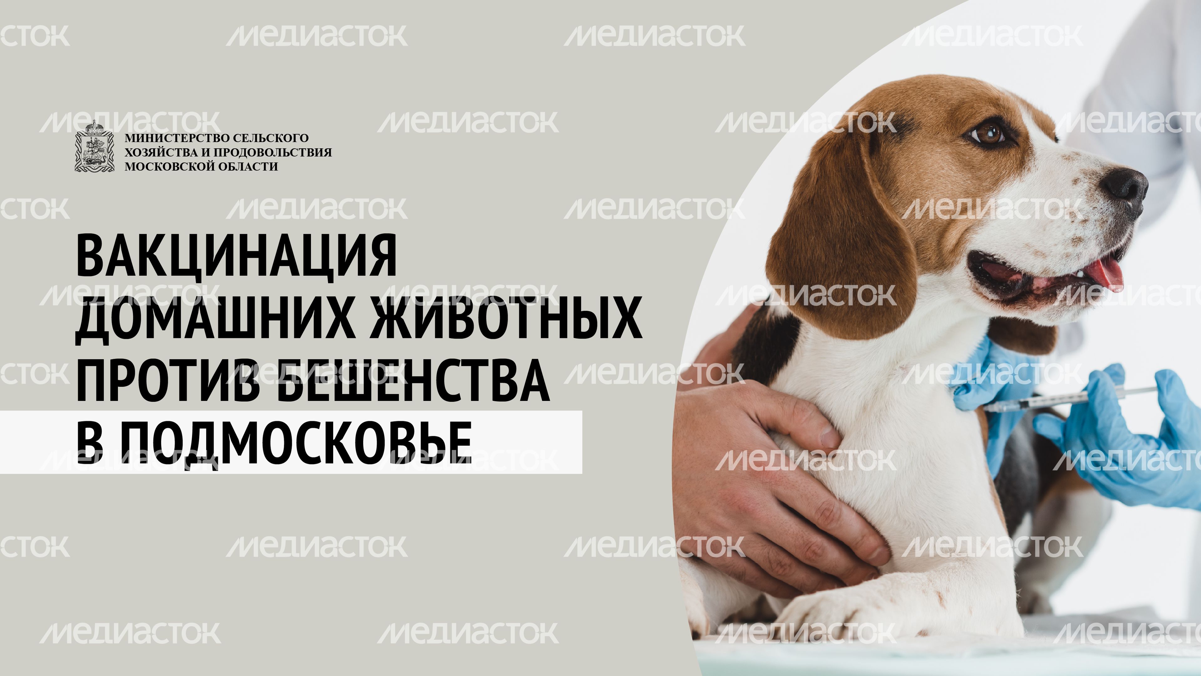 Вакцинация