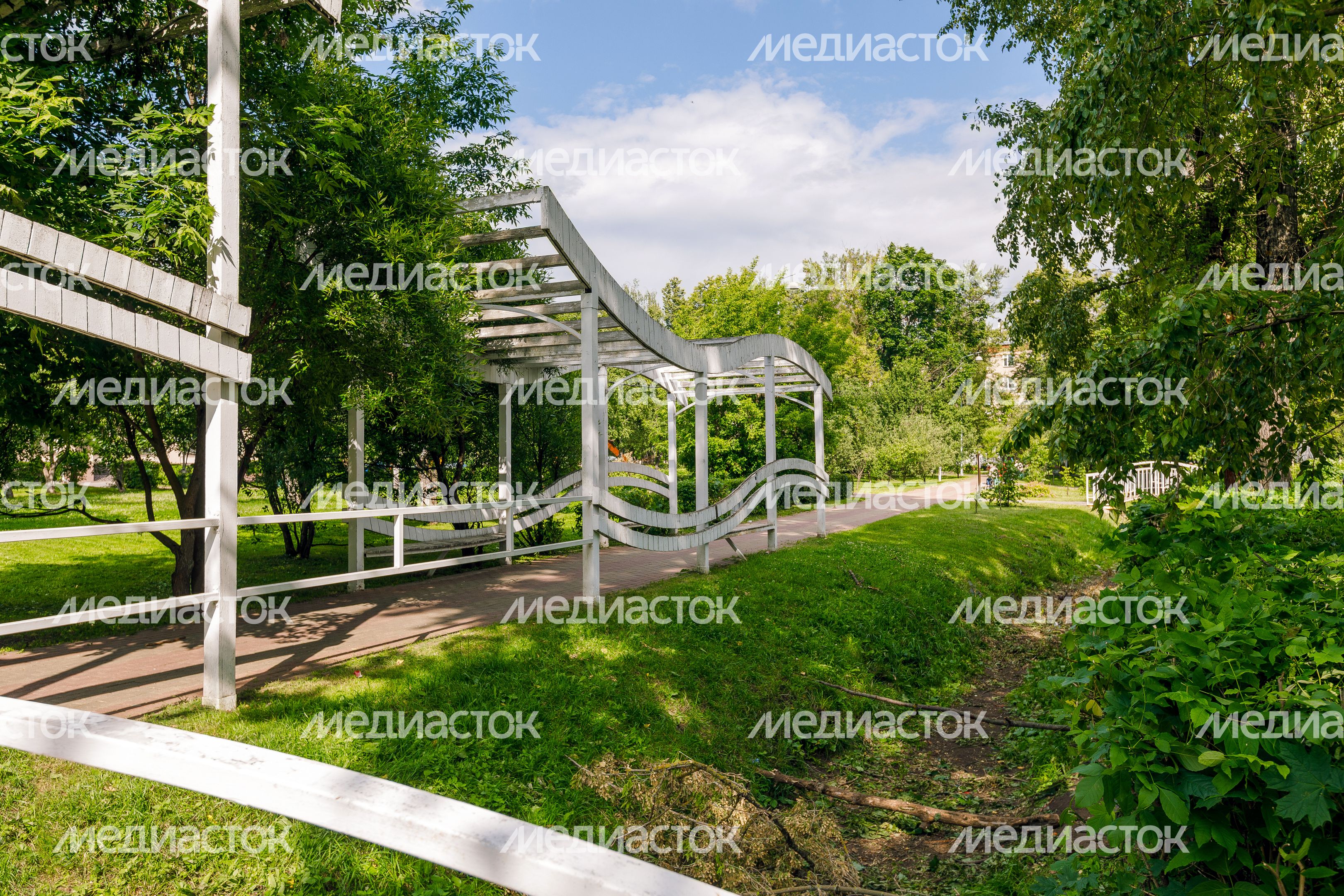 Дорожка для прогулок в летнем парке «Костино» в Королеве Дорожка для прогулок в летнем парке «Костино» в Королеве