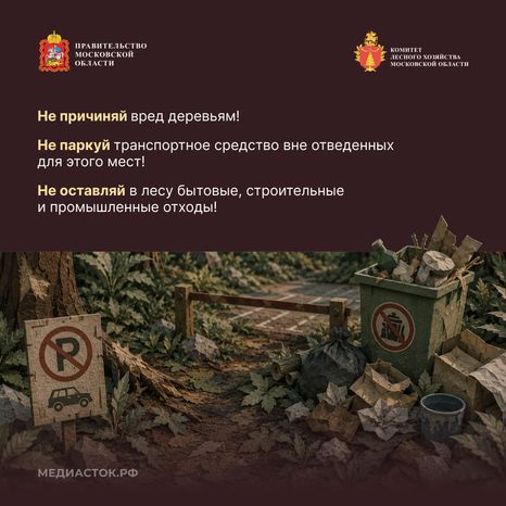 Пребывание граждан в лесах квадрат 09