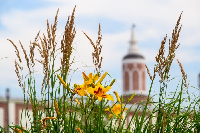 Богородице-Рождественский Бобренев мужской монастырь в селе Старое Бобренево округа Коломна