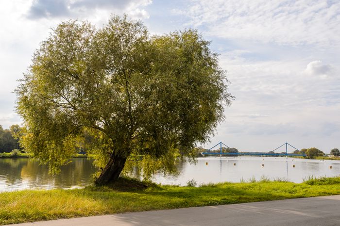 Бронницы. Бельское озеро