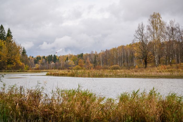 Осень в Абрамцево