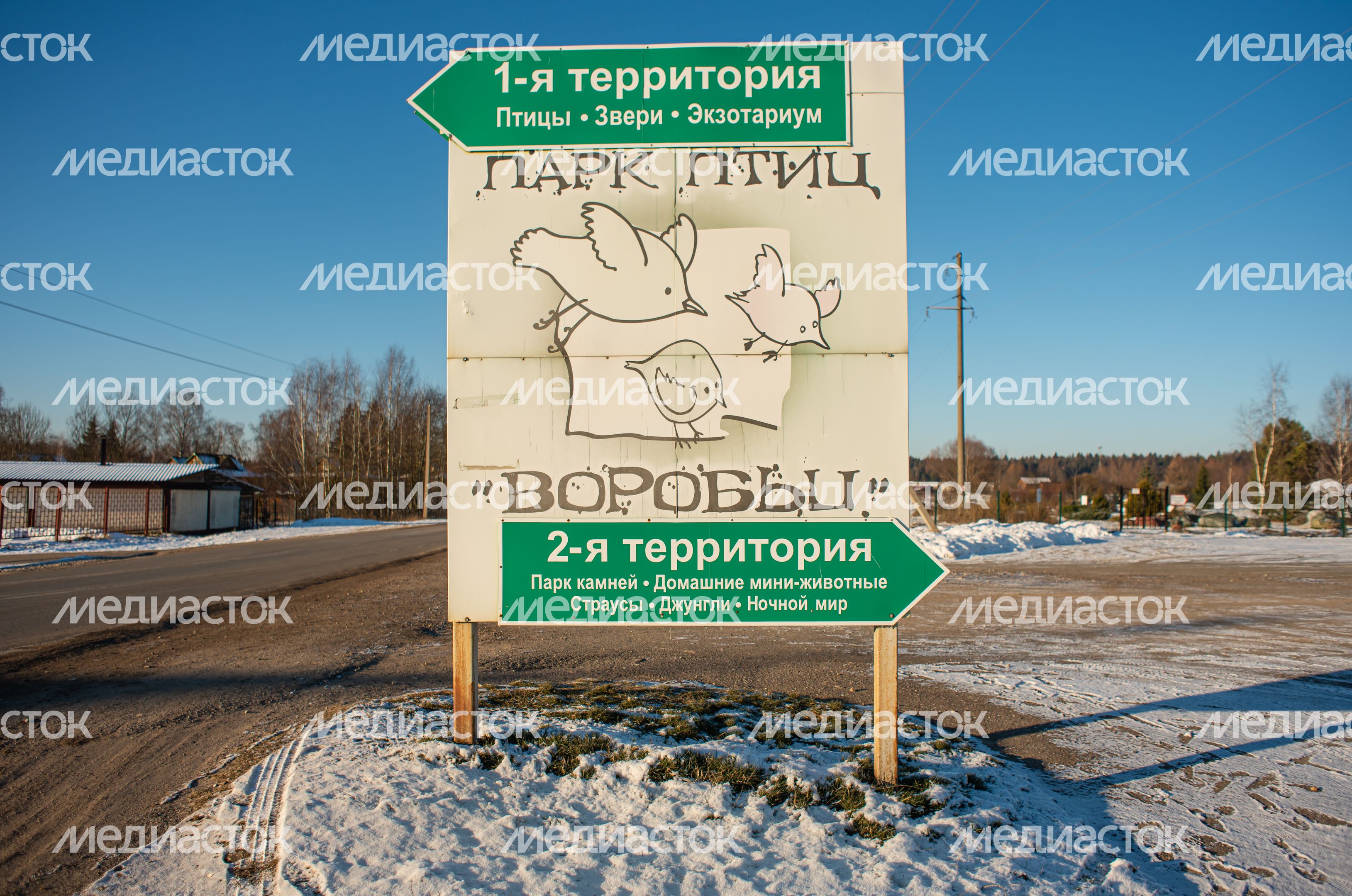 Зимний Парк Птиц «Воробьи»