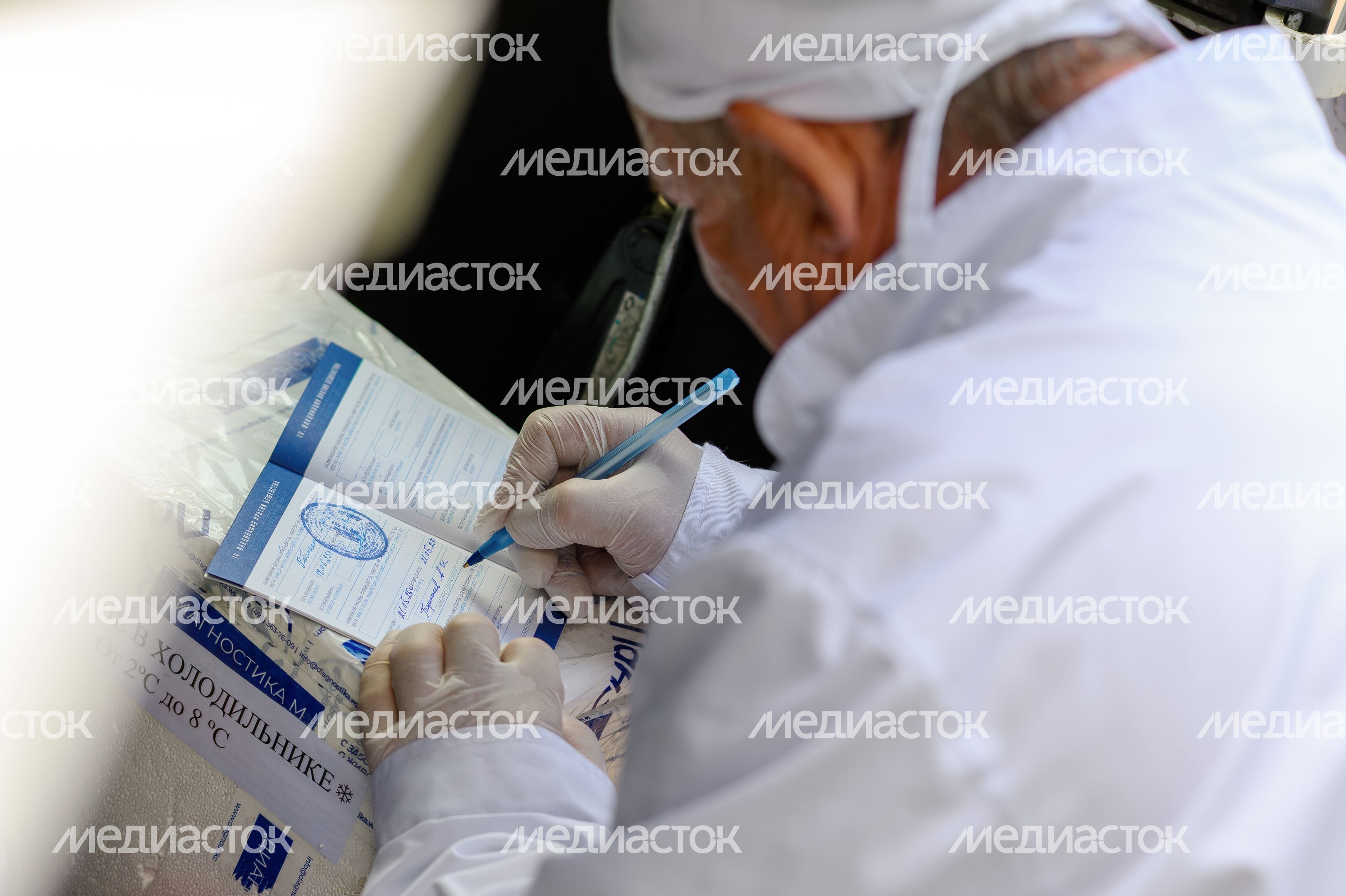 Выездная акция по чипированию и вакцинации животных в парке «Взлет» Домодедово Выездная акция по чипированию и вакцинации животных в парке «Взлет» Домодедово