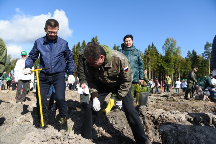Ежегодная экологическая акция «Наш лес. Посади свое дерево» в Одинцовском городском округе