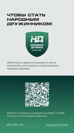 Народные дружины вертикаль 09