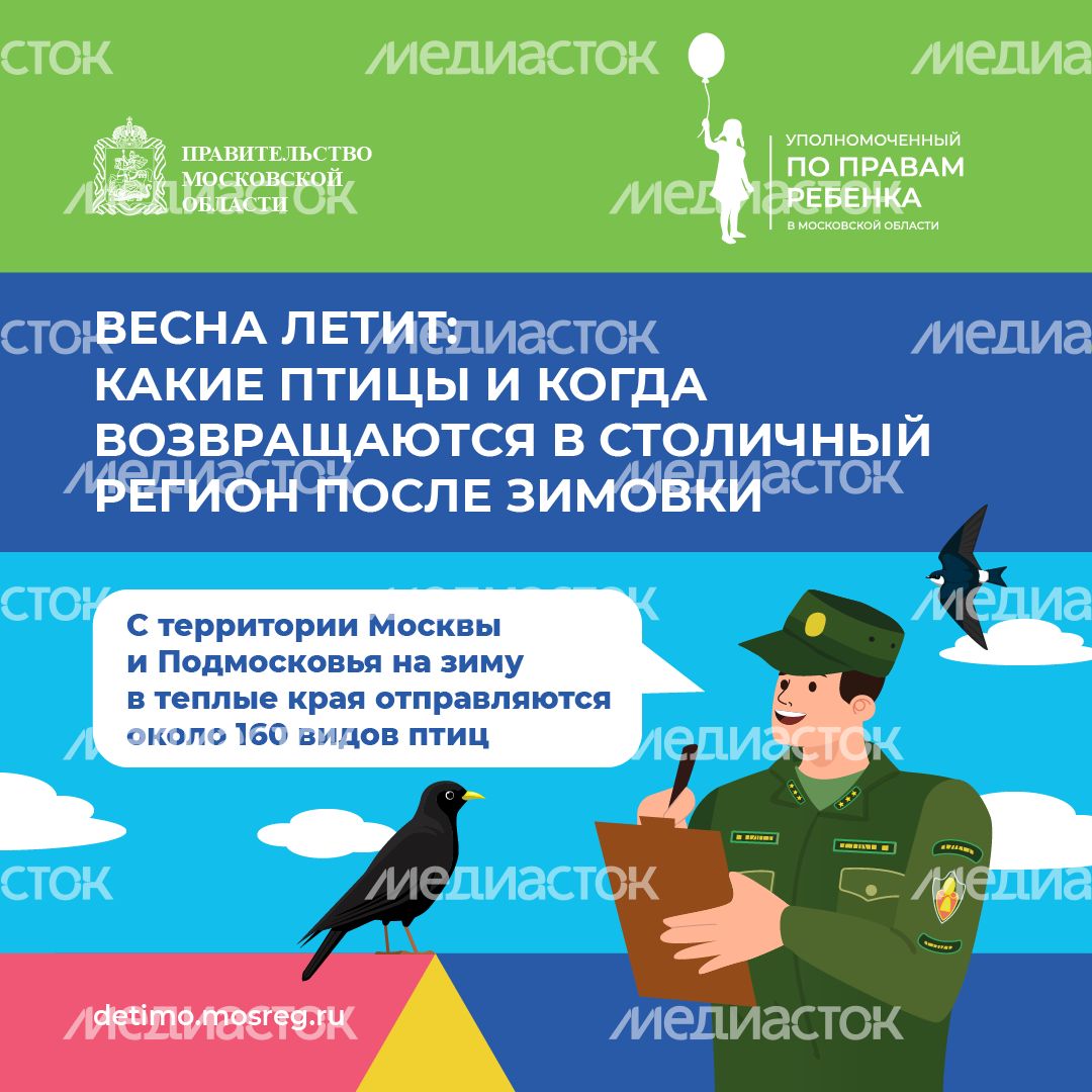 весна летит - квадрат - 01