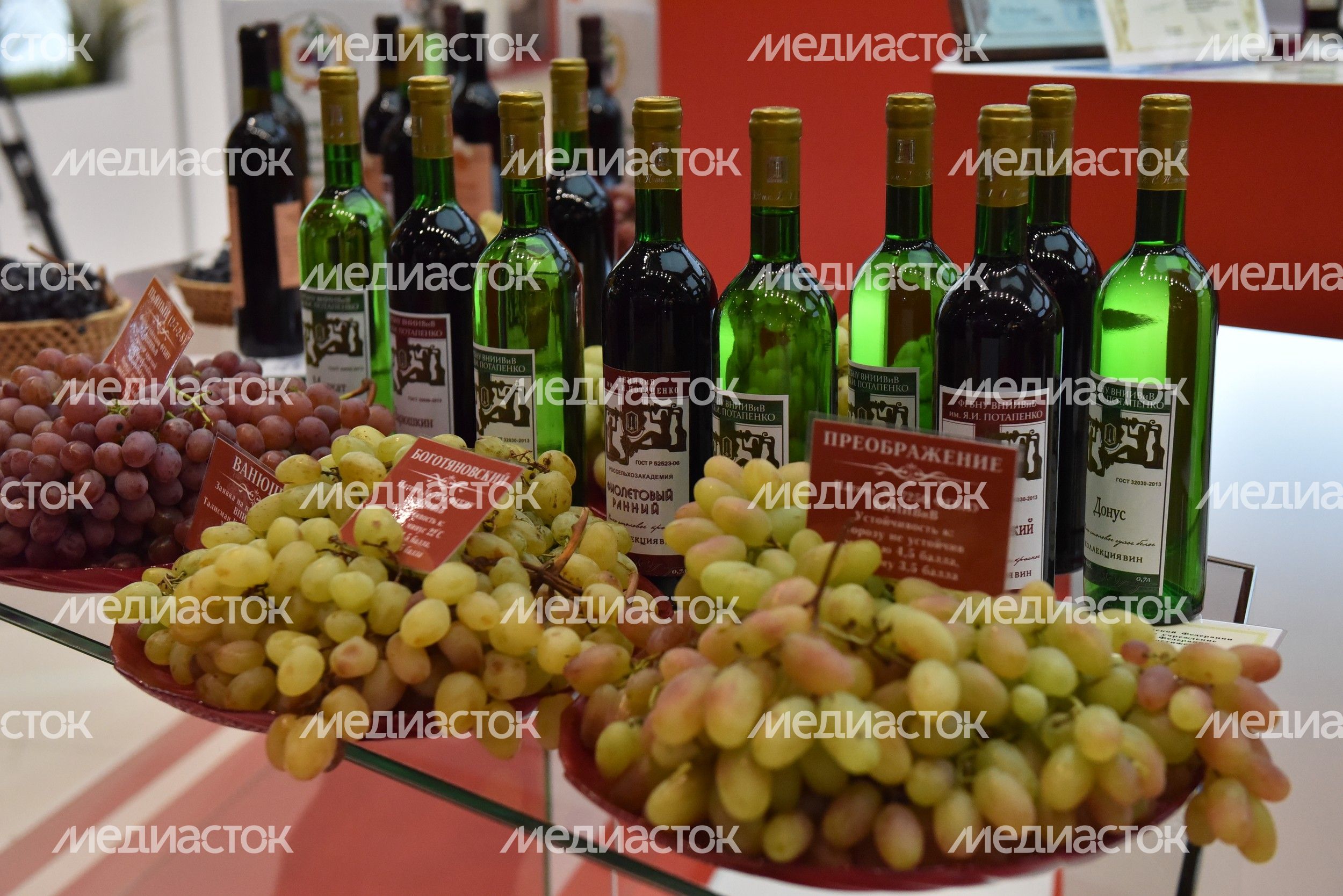 XVIII Российская агропромышленная выставка «Золотая осень»