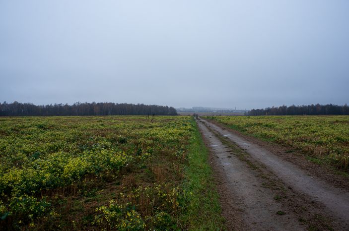 Окрестности Володарской каменоломни