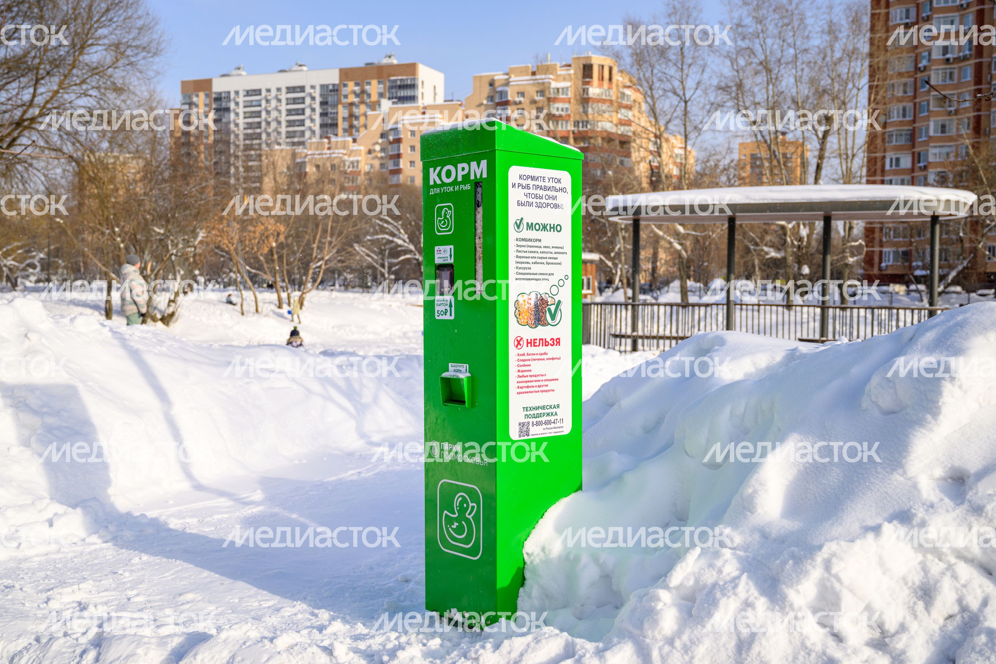 Автомат по продаже корма для уток и рыб на набережной Наташинского парка зимой в Люберцах