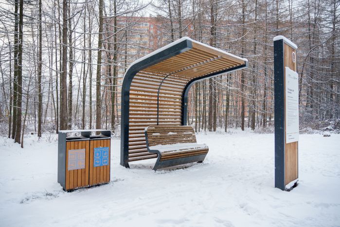 Балашиха. Ольгинский лесопарк. Зима