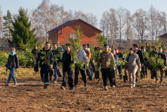 Самый большой питомник в Европе высадили в Можайском округе у деревни Клементьево