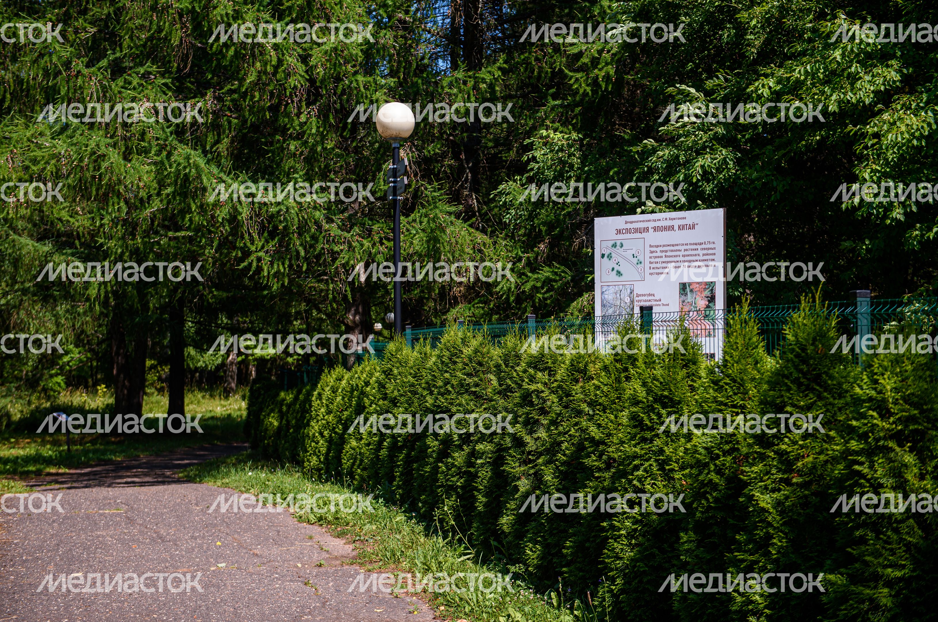 Переславский дендрологический сад имени Сергея Фёдоровича Харитонова