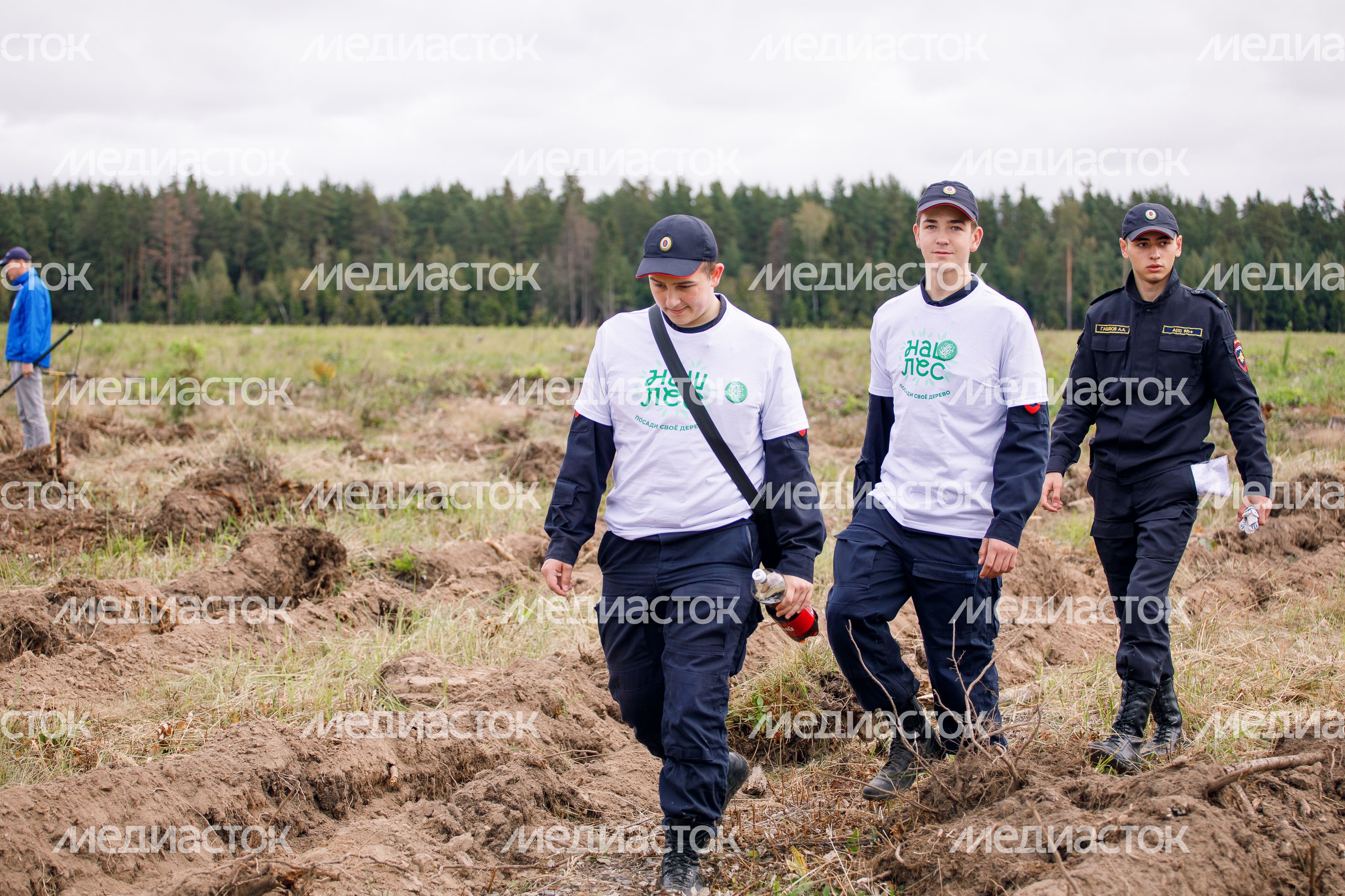 Богородский г.о. Наш лес. Посади свое дерево, сентябрь 2023 г. Богородский г.о. Наш лес. Посади свое дерево, сентябрь 2023 г.
