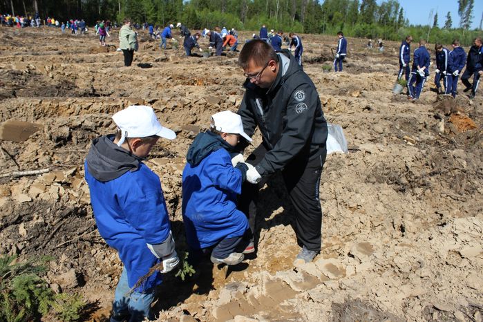 Акция «Лес Победы» в Егорьевске