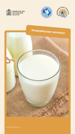 Путешествие по Московской области. Можайск