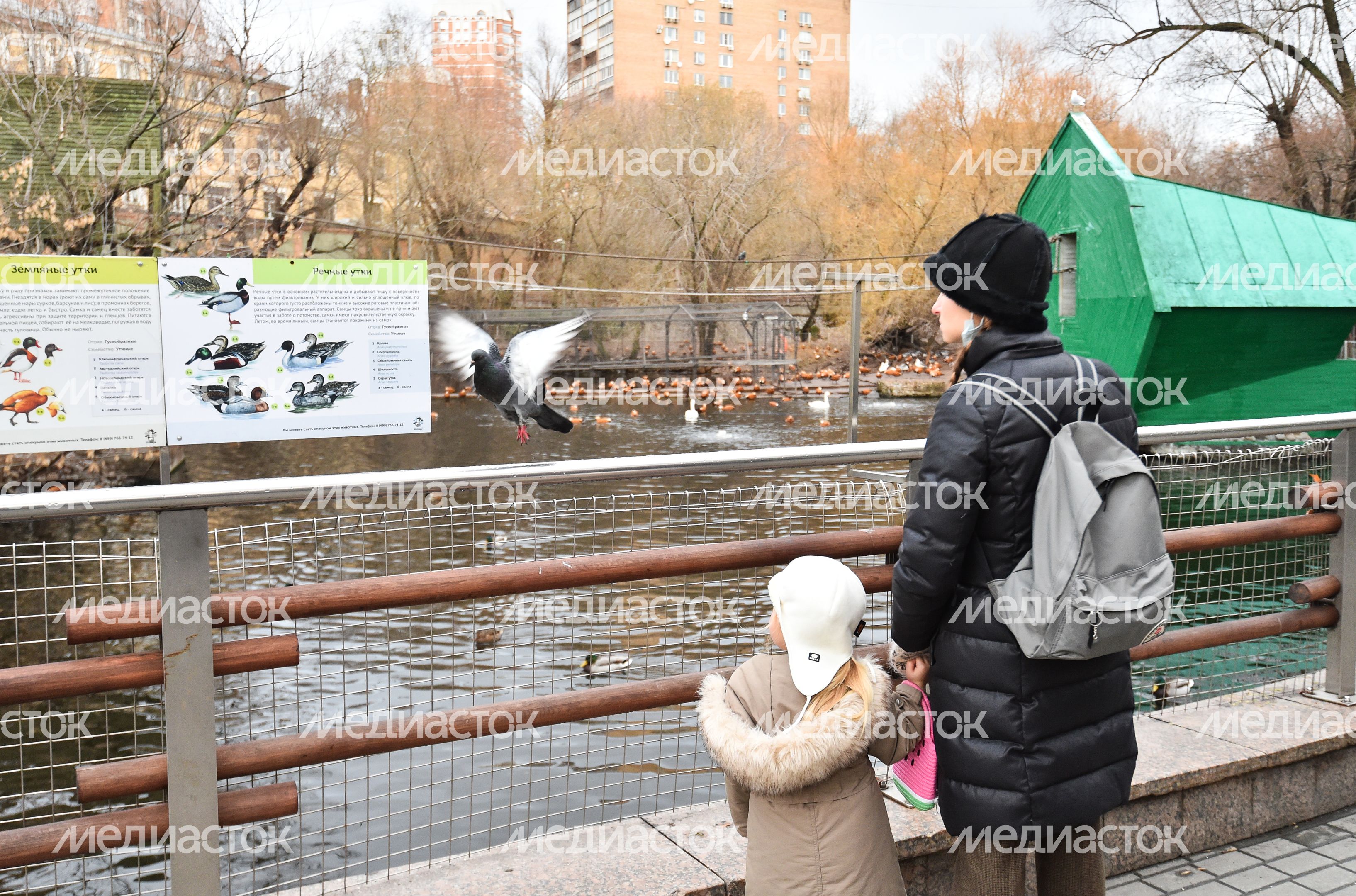 Пресс-тур в Московский зоопарк с Рафиком Загрутдиновым