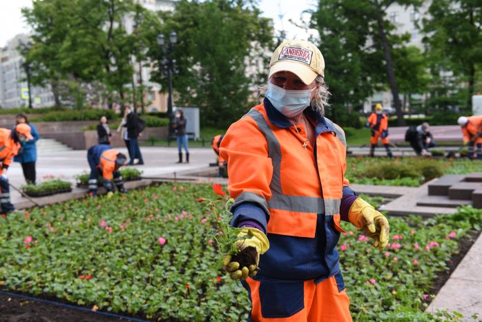 Высадка однолетних растений в Москве
