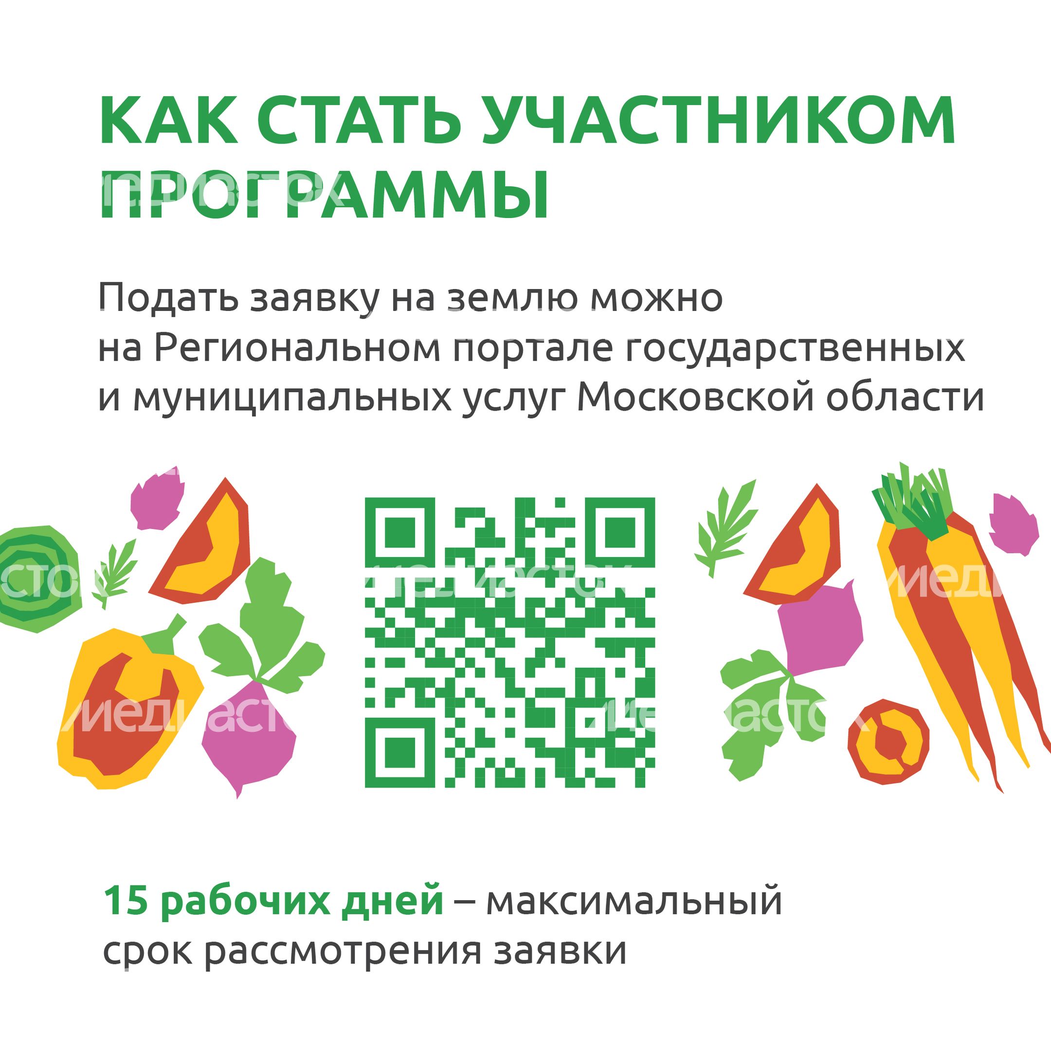 _Подмосковье 10г_-16.jpg