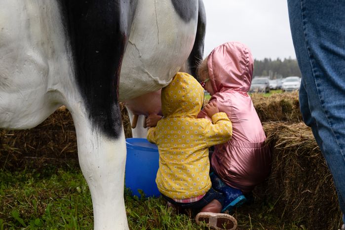 Открытие IV Всероссийского фестиваля фермерской продукции «Сыр. Пир. Мир»