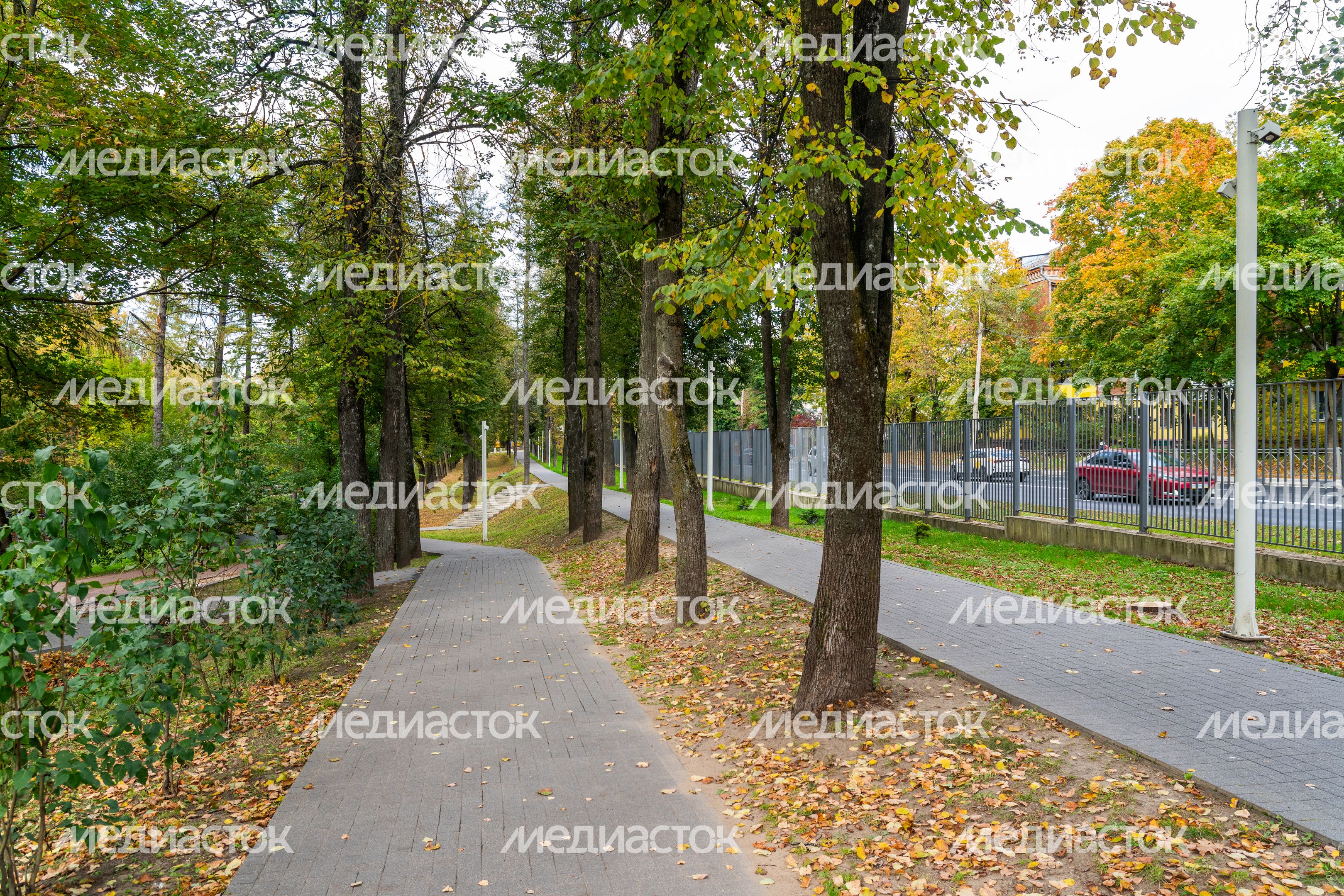 Истринский городской парк осенью Истринский городской парк осенью