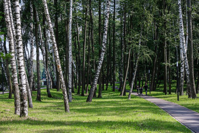 Проверка хода работ по очистке Малаховского озера Губернатором Подмосковья