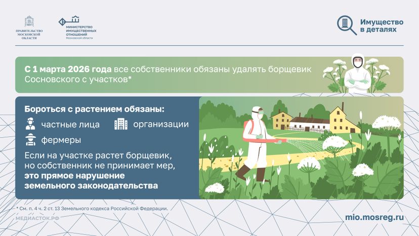 Борьба с борщевиком горизонталь 02
