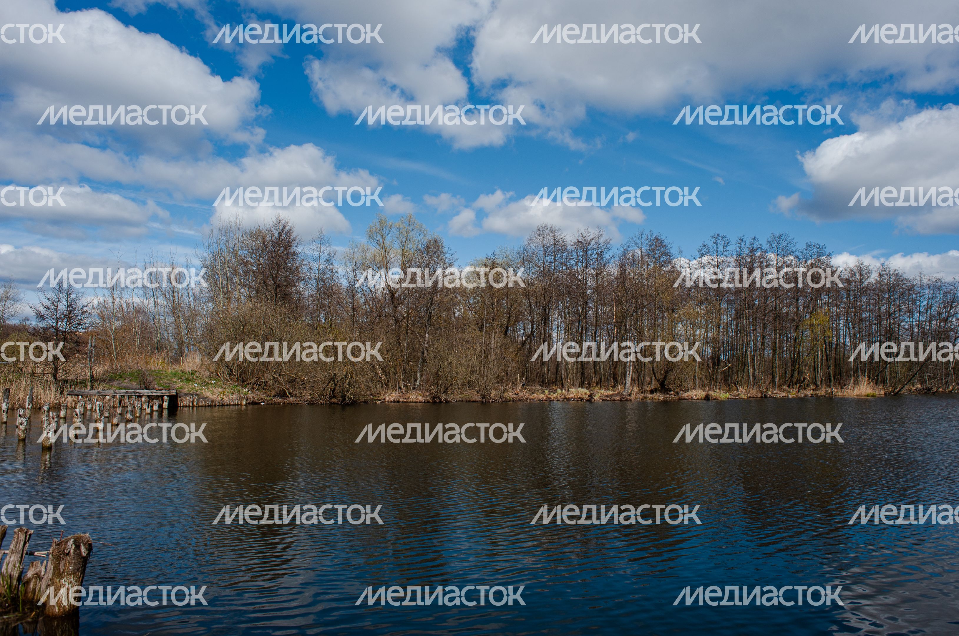 Виды города Шатура