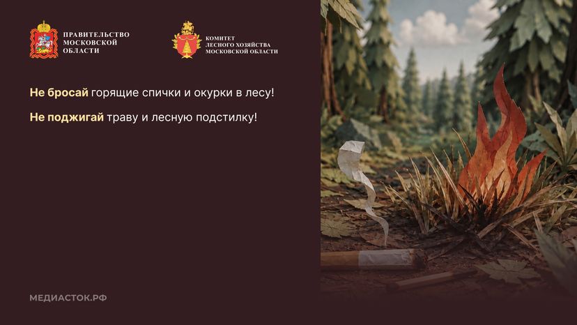 Пребывание граждан в лесах Горизонталь 04