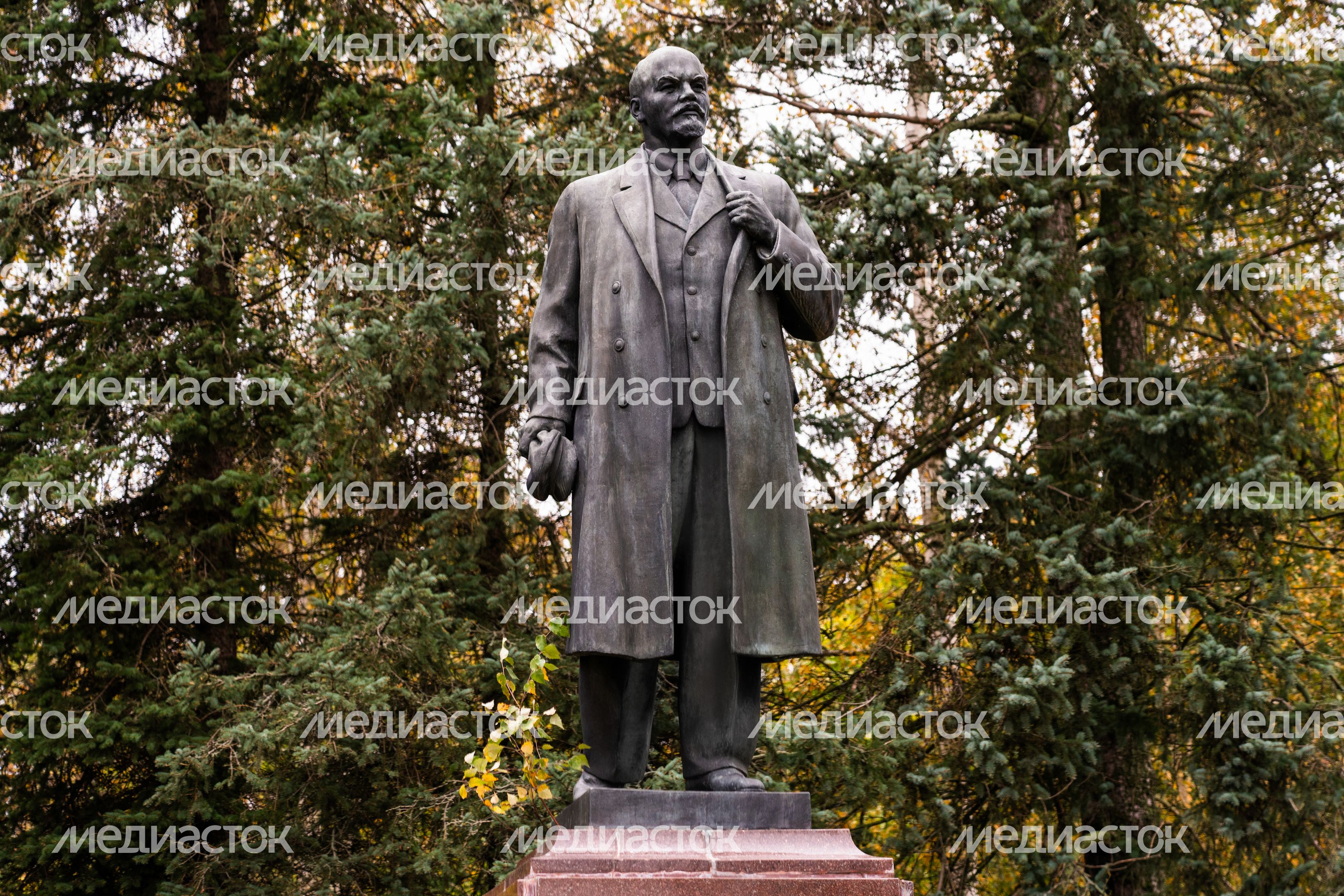 Памятник В.И. Ленину в деревне Кашино Волоколамского округа Памятник В.И. Ленину в деревне Кашино Волоколамского округа