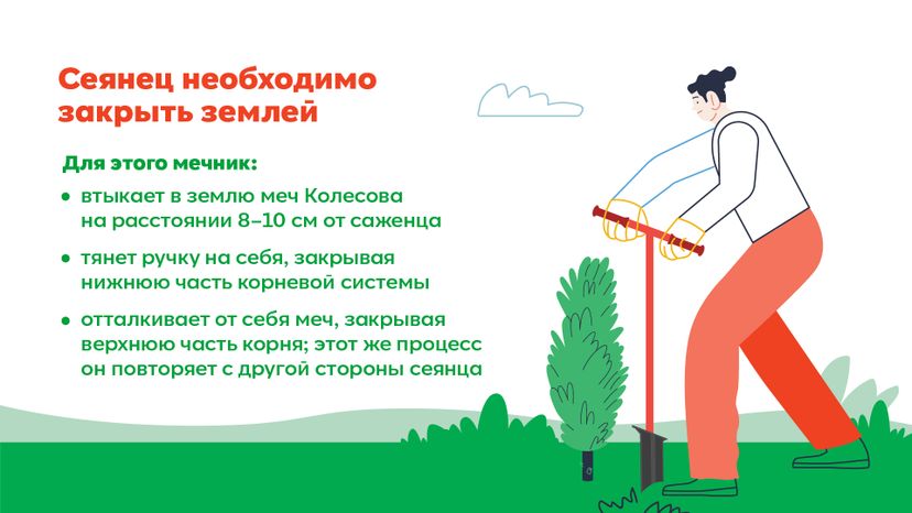 Горизонталь_ меч Колесова_05-100.jpg