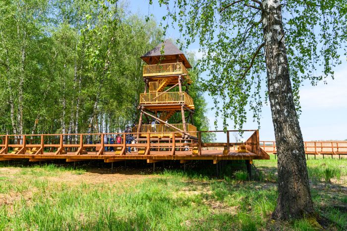Орнитологическая тропа появилась в нацпарке «Лосиный остров»
